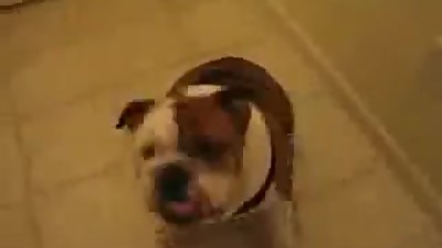 At this point, I'm questioning my