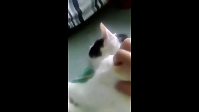 Sexy Catgirl MILF Gets a Massage