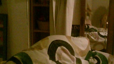 peitie levrette du matin