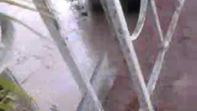 FLASH she exhib her ass and leggs mature