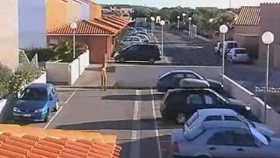 walking the dof - Oasis