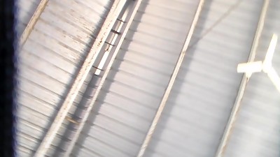 Ran into another coworker at farmers