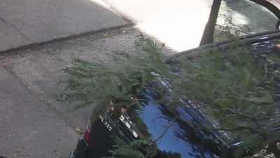 Huge Tit Neighbor MILF