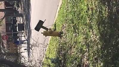 Look at the ass on this bbw mature chick