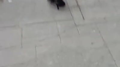 Rica culona en falda